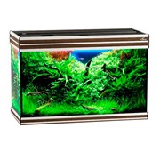 Купить Аквариум Biodesign Altum 135, силикатное стекло Pilkington Optifloat™, 6 мм, 135 л, 81x38x53 см, шторка для автокормушки, золотой орех