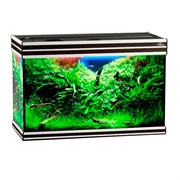 Купить Аквариум Biodesign Altum 135, силикатное стекло Pilkington Optifloat™, 6 мм, 135 л, 81x38x53 см, шторка для автокормушки, венге