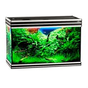Купить Аквариум Biodesign Altum 135, силикатное стекло Pilkington Optifloat™, 6 мм, 135 л, 81x38x53 см, шторка для автокормушки, черный