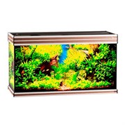 Купить Аквариум Biodesign Altum 200, силикатное стекло Pilkington Optifloat™, 6-8 мм, 200 л, 101x41x57 см, шторка для автокормушки, ясень шимо