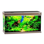 Купить Аквариум Biodesign Altum 200, силикатное стекло Pilkington Optifloat™, 6-8 мм, 200 л, 101x41x57 см, шторка для автокормушки, золотой орех