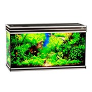 Купить Аквариум Biodesign Altum 200, силикатное стекло Pilkington Optifloat™, 6-8 мм, 200 л, 101x41x57 см, шторка для автокормушки, венге