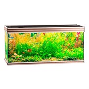 Купить Аквариум Biodesign Altum 300, силикатное стекло Pilkington Optifloat™, 8–10 мм, 300 л, 126x46x60 см, шторка для автокормушки, ясень шимо