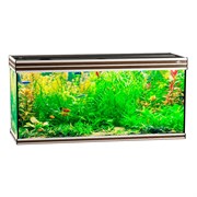 Купить Аквариум Biodesign Altum 300, силикатное стекло Pilkington Optifloat™, 8–10 мм, 300 л, 126x46x60 см, шторка для автокормушки, золотой орех