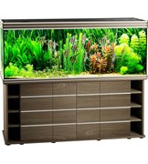 Купить Аквариум Biodesign Altum 700, силикатное стекло Pilkington Optifloat™, 10–12 мм, 680 л, 181x61x72 см, шторка для автокормушки, ясень шимо