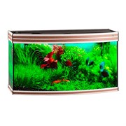 Купить Аквариум Biodesign Altum Panoramic 200, силикатное стекло Pilkington Optifloat™, 6-8 мм, 200 л, 101x46x57 см, шторка для автокормушки, ясень шимо