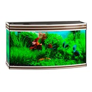 Купить Аквариум Biodesign Altum Panoramic 200, силикатное стекло Pilkington Optifloat™, 6-8 мм, 200 л, 101x46x57 см, шторка для автокормушки, золотой орех