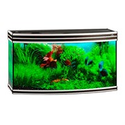 Купить Аквариум Biodesign Altum Panoramic 200, силикатное стекло Pilkington Optifloat™, 6-8 мм, 200 л, 101x46x57 см, шторка для автокормушки, венге