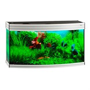 Купить Аквариум Biodesign Altum Panoramic 200, силикатное стекло Pilkington Optifloat™, 6-8 мм, 200 л, 101x46x57 см, шторка для автокормушки, серебряный