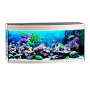 Купить Аквариум Biodesign Altum Panoramic 300, силикатное стекло Pilkington Optifloat™, 8-10 мм, 300 л, 126x51x60 см, шторка для автокормушки, белёный дуб