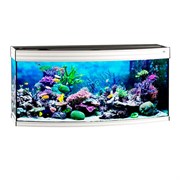Купить Аквариум Biodesign Altum Panoramic 300, силикатное стекло Pilkington Optifloat™, 8-10 мм, 300 л, 126x51x60 см, шторка для автокормушки, белый