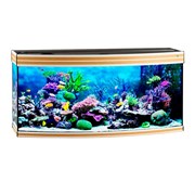 Купить Аквариум Biodesign Altum Panoramic 300, силикатное стекло Pilkington Optifloat™, 8-10 мм, 300 л, 126x51x60 см, шторка для автокормушки, бук