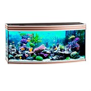 Купить Аквариум Biodesign Altum Panoramic 300, силикатное стекло Pilkington Optifloat™, 8-10 мм, 300 л, 126x51x60 см, шторка для автокормушки, ясень шимо