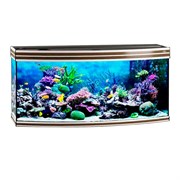 Купить Аквариум Biodesign Altum Panoramic 300, силикатное стекло Pilkington Optifloat™, 8-10 мм, 300 л, 126x51x60 см, шторка для автокормушки, золотой орех