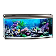 Купить Аквариум Biodesign Altum Panoramic 300, силикатное стекло Pilkington Optifloat™, 8-10 мм, 300 л, 126x51x60 см, шторка для автокормушки, венге