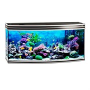 Купить Аквариум Biodesign Altum Panoramic 300, силикатное стекло Pilkington Optifloat™, 8-10 мм, 300 л, 126x51x60 см, шторка для автокормушки, черный