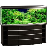 Купить Аквариум Biodesign Altum Panoramic 700, силикатное стекло Pilkington Optifloat™, 10 мм, 680 л, 181x66x72 см, шторка для автокормушки, венге