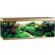 Купить Аквариум Biodesign Атолл 1000, силикатное стекло Pilkington Optifloat™, 10-12 мм, 825 л, 201x66x76 см, шторка для автокормушки, бук