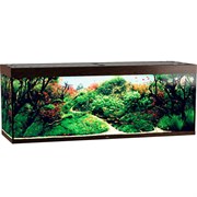 Купить Аквариум Biodesign Атолл 1000, силикатное стекло Pilkington Optifloat™, 10-12 мм, 825 л, 201x66x76 см, шторка для автокормушки, венге