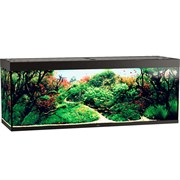 Купить Аквариум Biodesign Атолл 1000, силикатное стекло Pilkington Optifloat™, 10-12 мм, 825 л, 201x66x76 см, шторка для автокормушки, черный