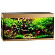 Купить Аквариум Biodesign Атолл 350, силикатное стекло Pilkington Optifloat™, 8-10 мм, 340 л, 126x51x65 см, шторка для автокормушки, бук