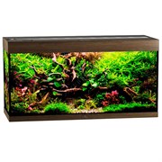 Купить Аквариум Biodesign Атолл 350, силикатное стекло Pilkington Optifloat™, 8-10 мм, 340 л, 126x51x65 см, шторка для автокормушки, золотой орех