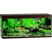 Купить Аквариум Biodesign Атолл 500, силикатное стекло Pilkington Optifloat™, 10-12 мм, 465 л, 151x56x68 см, шторка для автокормушки, венге