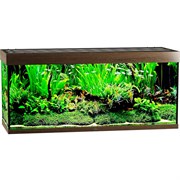 Купить Аквариум Biodesign Атолл 500, силикатное стекло Pilkington Optifloat™, 10-12 мм, 465 л, 151x56x68 см, шторка для автокормушки, золотой орех