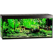 Купить Аквариум Biodesign Атолл 500, силикатное стекло Pilkington Optifloat™, 10-12 мм, 465 л, 151x56x68 см, шторка для автокормушки, черный