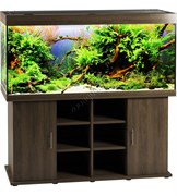 Купить Аквариум Biodesign Атолл 650, силикатное стекло Pilkington Optifloat™, 10-12 мм, 655 л, 161x66x76 см, шторка для автокормушки, золотой орех
