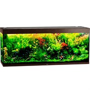 Купить Аквариум Biodesign Атолл 700, силикатное стекло Pilkington Optifloat™, 10-12 мм, 670 л, 181x61x75 см, шторка для автокормушки, венге