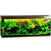 Купить Аквариум Biodesign Атолл 700, силикатное стекло Pilkington Optifloat™, 10-12 мм, 670 л, 181x61x75 см, шторка для автокормушки, золотой орех
