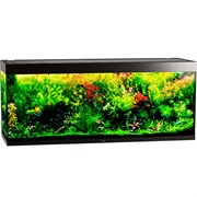 Купить Аквариум Biodesign Атолл 700, силикатное стекло Pilkington Optifloat™, 10-12 мм, 670 л, 181x61x75 см, шторка для автокормушки, черный