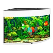 Купить Аквариум Biodesign Диарама 150, силикатное стекло Pilkington Optifloat™, 5-6 мм, 130 л, 63x63x52 см, шторка для автокормушки, белый