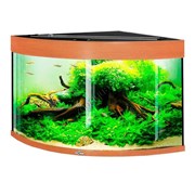 Купить Аквариум Biodesign Диарама 150, силикатное стекло Pilkington Optifloat™, 5-6 мм, 130 л, 63x63x52 см, шторка для автокормушки, бук