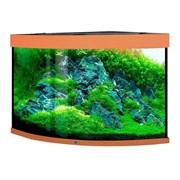 Купить Аквариум Biodesign Диарама 200, силикатное стекло Pilkington Optifloat™, 6-8 мм, 185 л, 71x71x65 см, шторка для автокормушки, бук