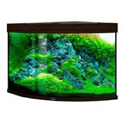Купить Аквариум Biodesign Диарама 200, силикатное стекло Pilkington Optifloat™, 6-8 мм, 185 л, 71x71x65 см, шторка для автокормушки, венге