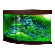 Купить Аквариум Biodesign Диарама 200, силикатное стекло Pilkington Optifloat™, 6-8 мм, 185 л, 71x71x65 см, шторка для автокормушки, золотой орех