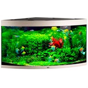 Купить Аквариум Biodesign Диарама 400, силикатное стекло Pilkington Optifloat™, 6-10 мм, 350 л, 91x91x68 см, шторка для автокормушки, беленый дуб