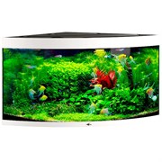 Купить Аквариум Biodesign Диарама 400, силикатное стекло Pilkington Optifloat™, 6-10 мм, 350 л, 91x91x68 см, шторка для автокормушки, белый