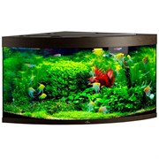 Купить Аквариум Biodesign Диарама 400, силикатное стекло Pilkington Optifloat™, 6-10 мм, 350 л, 91x91x68 см, шторка для автокормушки, венге