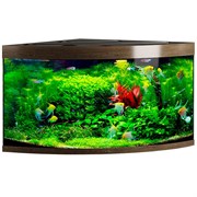 Купить Аквариум Biodesign Диарама 400, силикатное стекло Pilkington Optifloat™, 6-10 мм, 350 л, 91x91x68 см, шторка для автокормушки, золотой орех