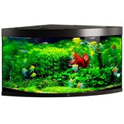 Купить Аквариум Biodesign Диарама 400, силикатное стекло Pilkington Optifloat™, 6-10 мм, 350 л, 91x91x68 см, шторка для автокормушки, черный