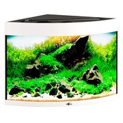 Купить Аквариум Biodesign Диарама 90, силикатное стекло Pilkington Optifloat™, 5 мм, 90 л, 53x53x52 см, шторка для автокормушки, белый