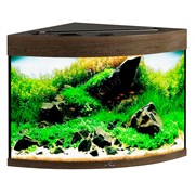 Купить Аквариум Biodesign Диарама 90, силикатное стекло Pilkington Optifloat™, 5 мм, 90 л, 53x53x52 см, шторка для автокормушки, золотой орех