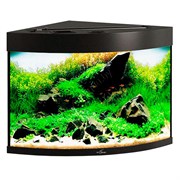 Купить Аквариум Biodesign Диарама 90, силикатное стекло Pilkington Optifloat™, 5 мм, 90 л, 53x53x52 см, шторка для автокормушки, черный