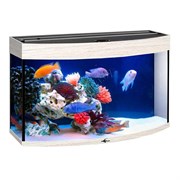 Купить Аквариум Biodesign Панорама 100, силикатное стекло Pilkington Optifloat™, 5-6 мм, 98 л, 71x36x52 см, шторка для автокормушки, беленый дуб