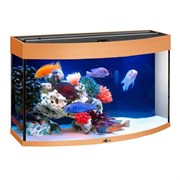 Купить Аквариум Biodesign Панорама 100, силикатное стекло Pilkington Optifloat™, 5-6 мм, 98 л, 71x36x52 см, шторка для автокормушки, бук
