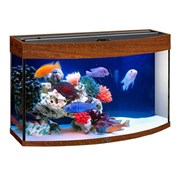 Купить Аквариум Biodesign Панорама 100, силикатное стекло Pilkington Optifloat™, 5-6 мм, 98 л, 71x36x52 см, шторка для автокормушки, золотой орех