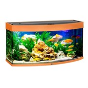 Купить Аквариум Biodesign Панорама 120, силикатное стекло Pilkington Optifloat™, 5-6 мм, 117 л, 81x38x52 см, шторка для автокормушки, бук
